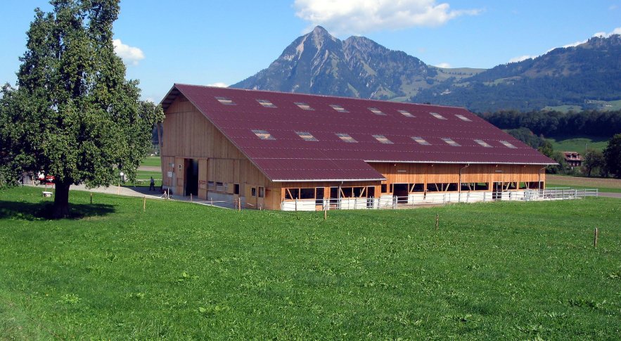 Neubau Scheune Sarnen