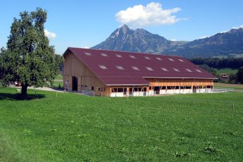 Neubau Scheune Sarnen